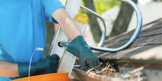 Spring Cleanup Checklist